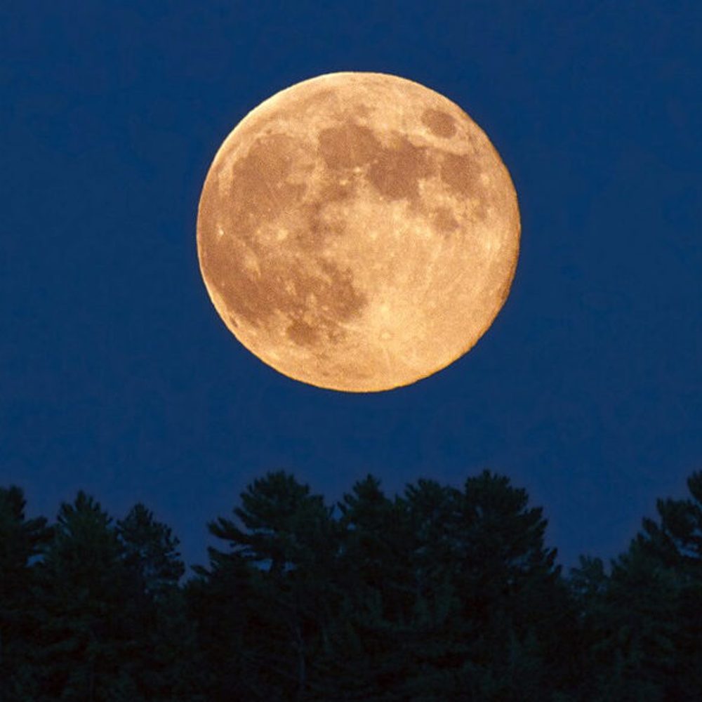 Full Moon Alabama News