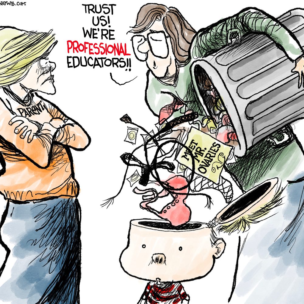 1819 Stantis RGB Professional Educators 1027 Alabama News