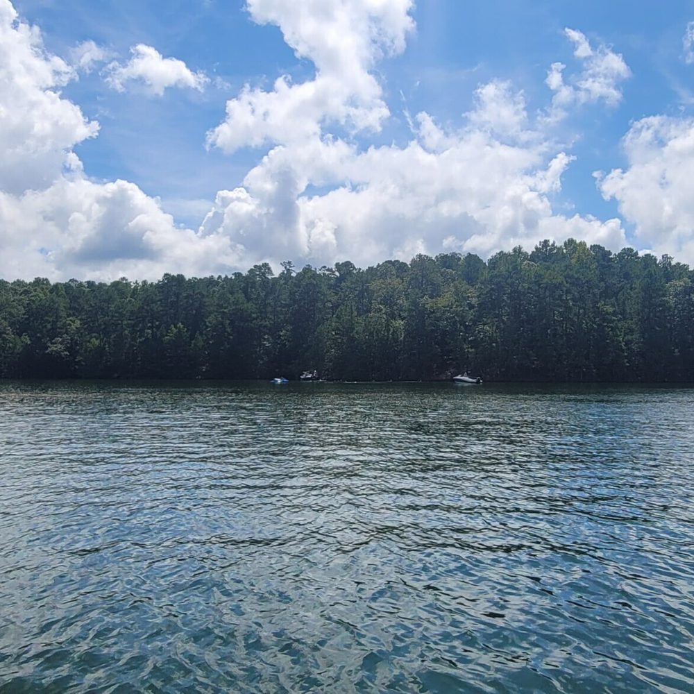 Lake Photo Alabama News