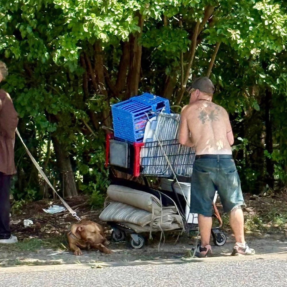 Homeless Alabama News
