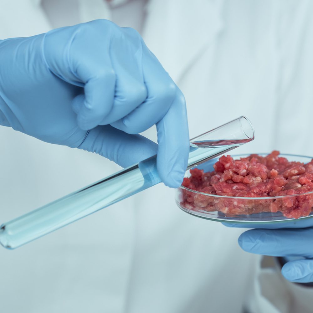 lab grown meat Alabama News