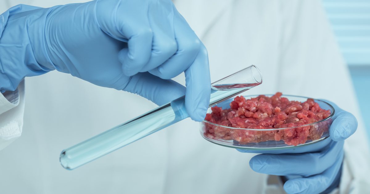 House approves Senate bill to ban the sale of lab-grown meat