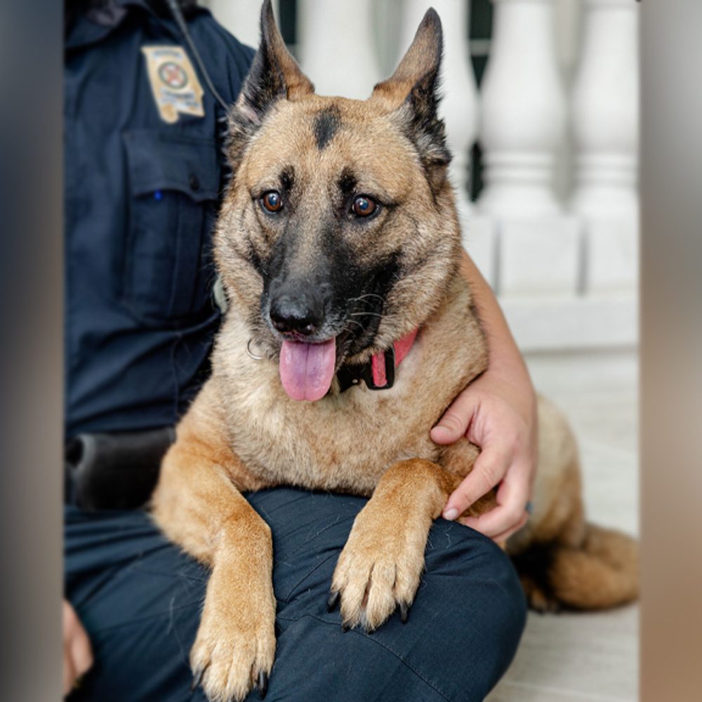 ALEA K9 Alabama News