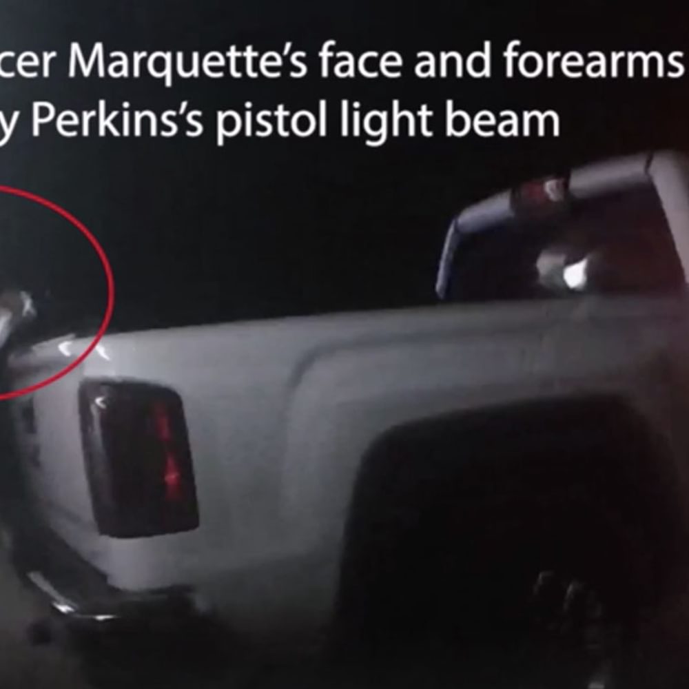ALEA Video Decatur Police Alabama News