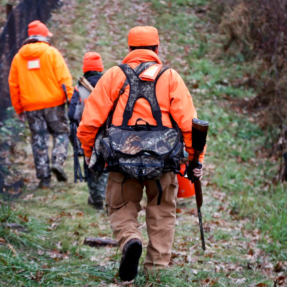 DEER HUNTING Alabama News