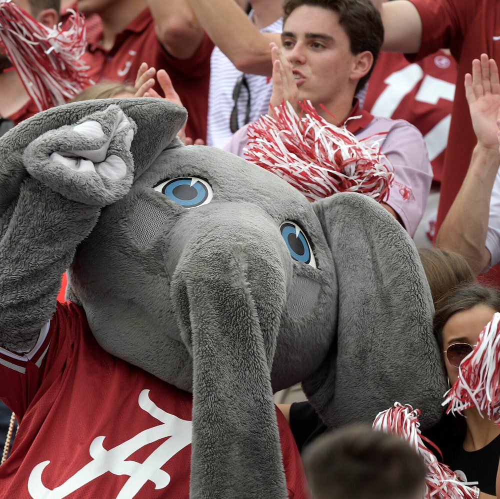 Alabama mascot Big Al Alabama News