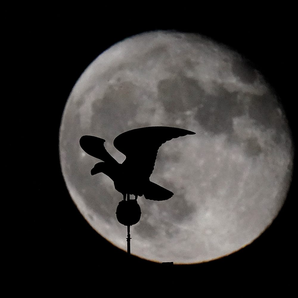 Harvest Moon Alabama News