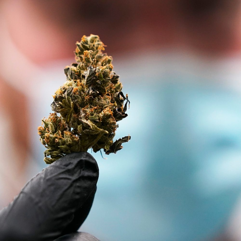 Medical marijuana, medical cannabis Alabama News