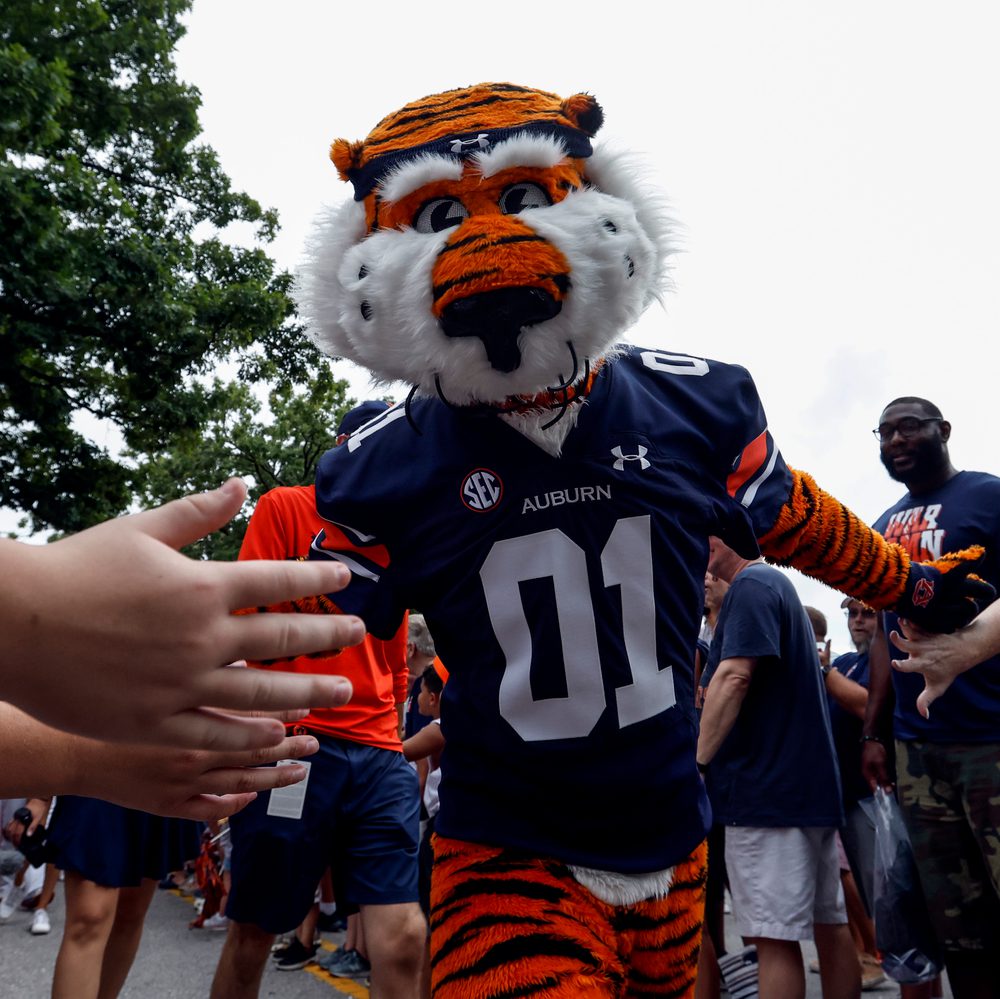 Auburn mascot Aubie Alabama News