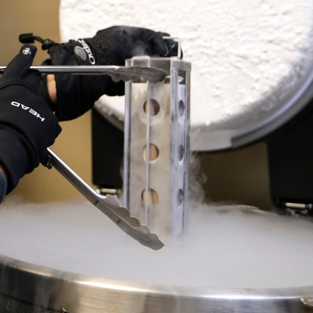Frozen Embryos Alabama Alabama News
