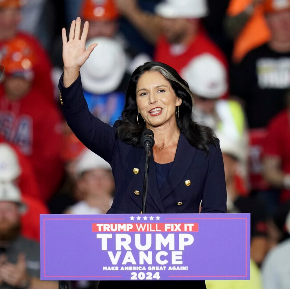 Tulsi Gabbard Alabama News