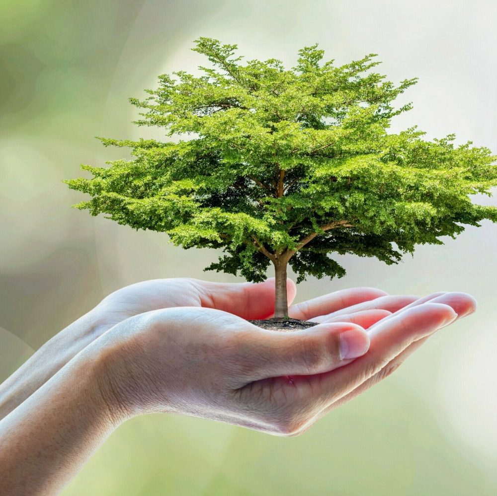 ARBOR day scaled Alabama News