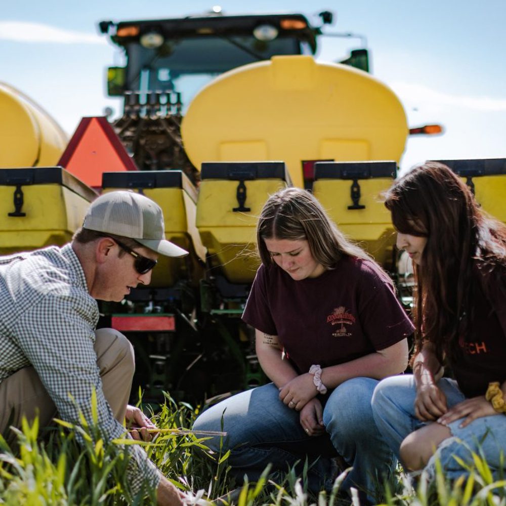 Agriculture Alabama News