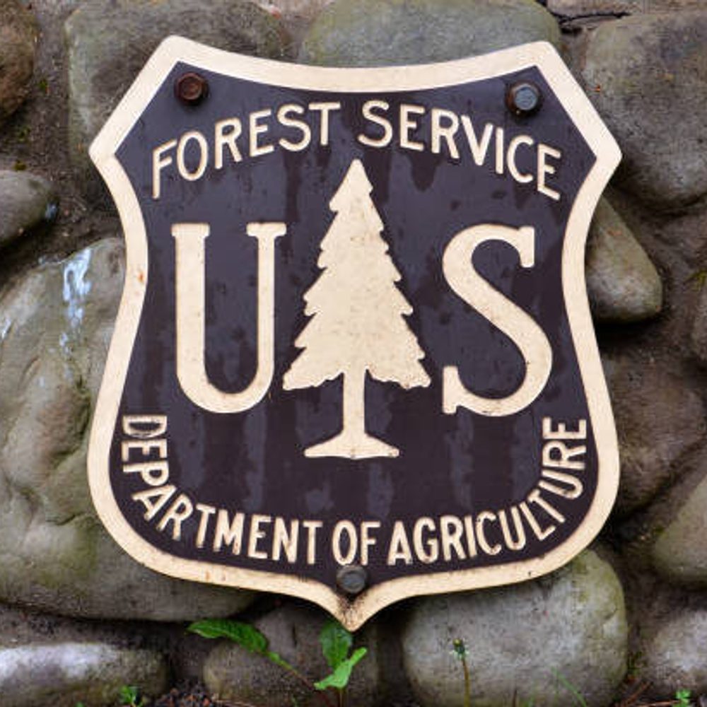 Alabama Political News Forest Service Alabama News