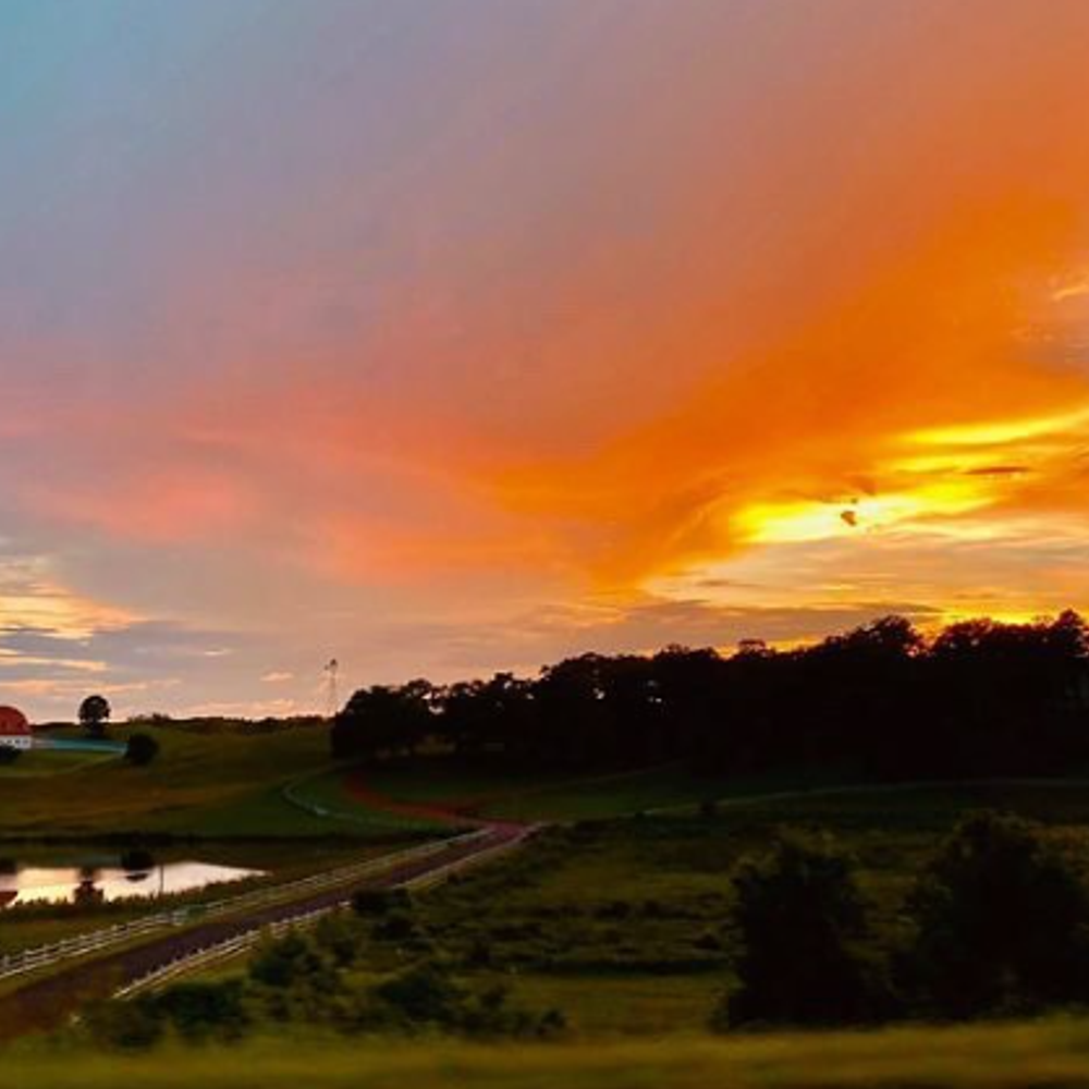 Alabama Political News Hallmark Farms Alabama News