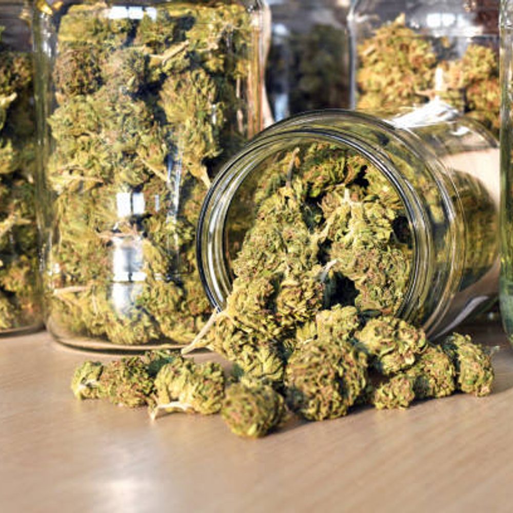 Alabama Political News Hemp5 Alabama News