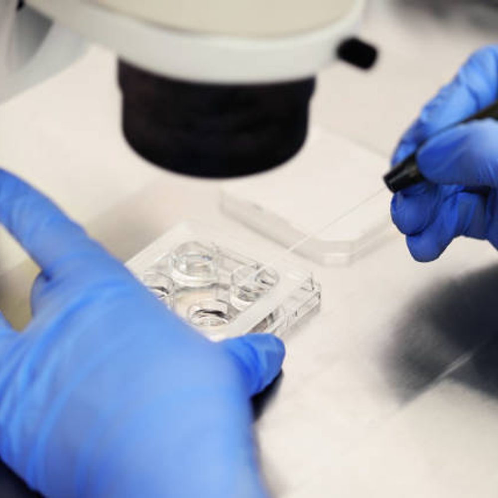 IVF Alabama News