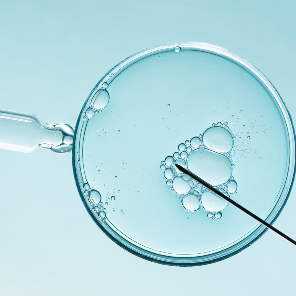 IVF Alabama News