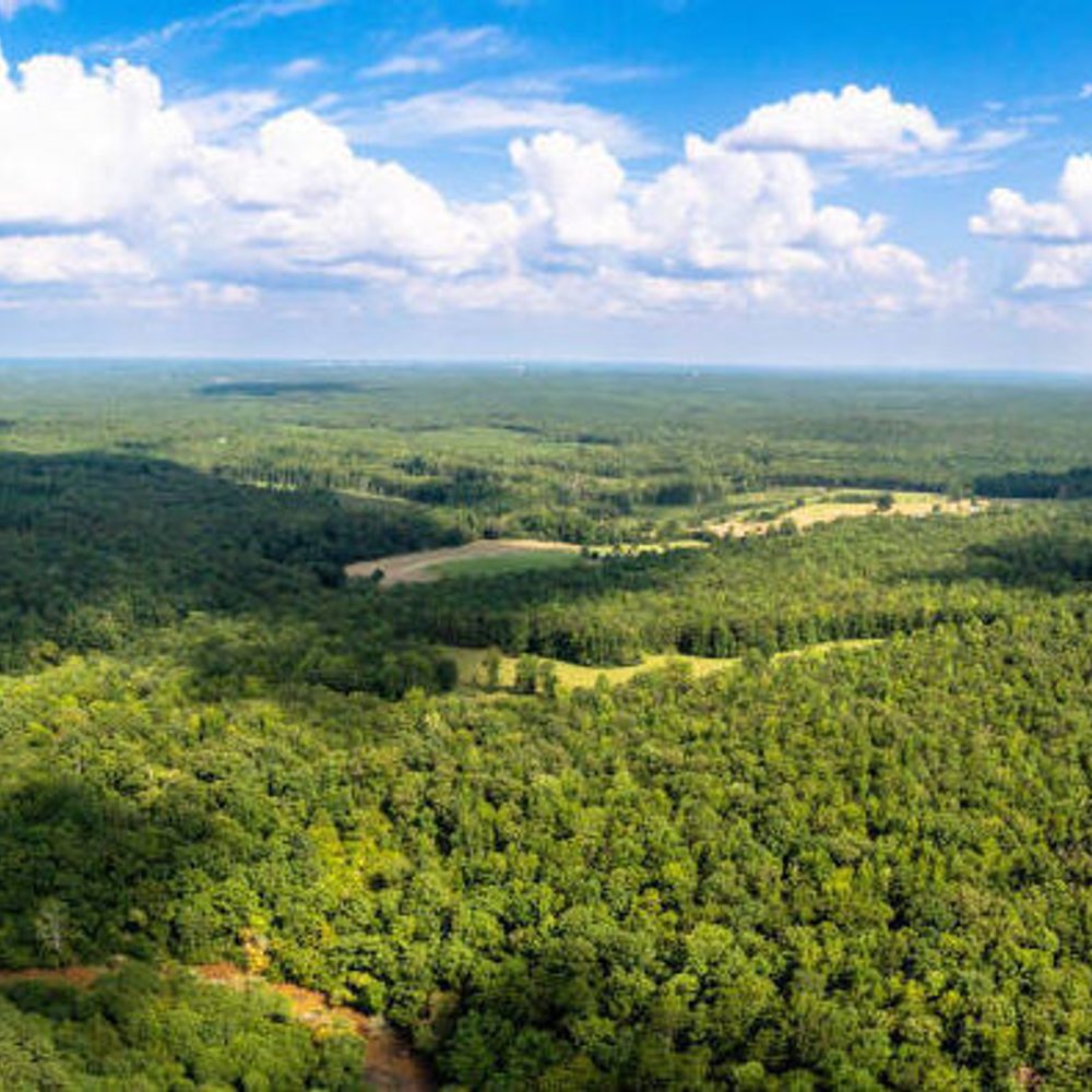 Alabama Political News land Alabama News