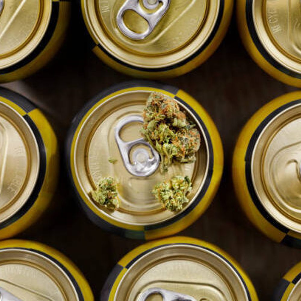 Alabama Political News thcdrink Alabama News