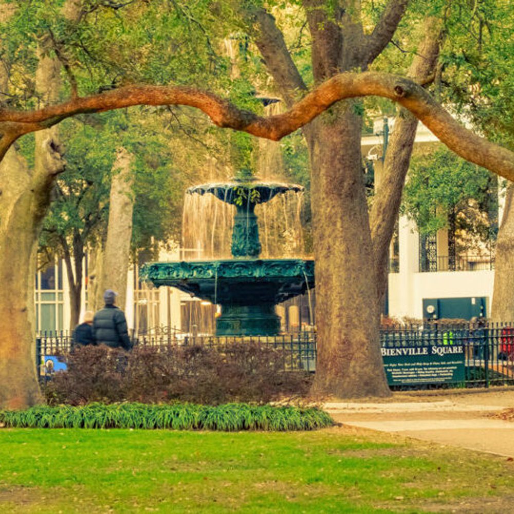 Bienvillesquare Alabama News