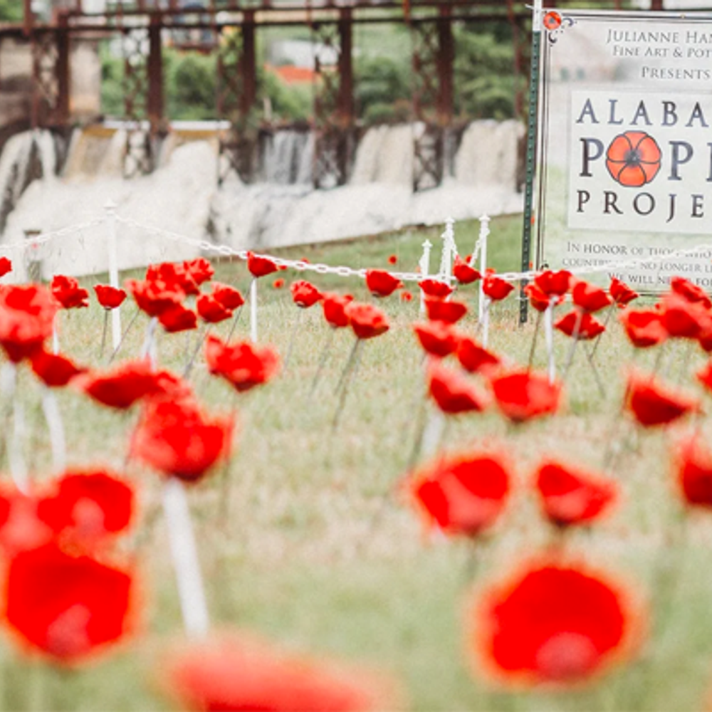 Alabama Poppy Project from APP website Alabama News