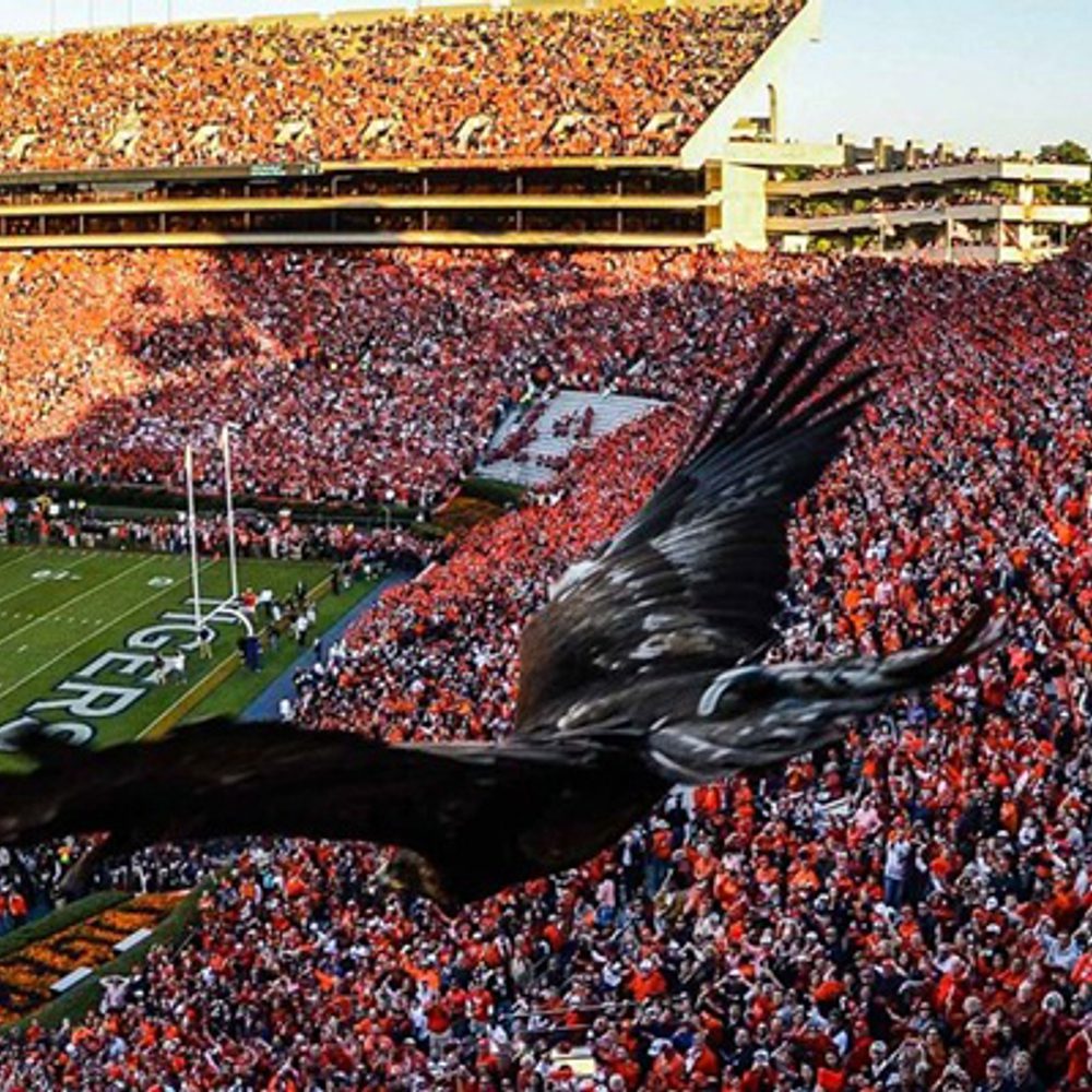 Auburn Jordan Hare Stadium War Eagle Alabama News