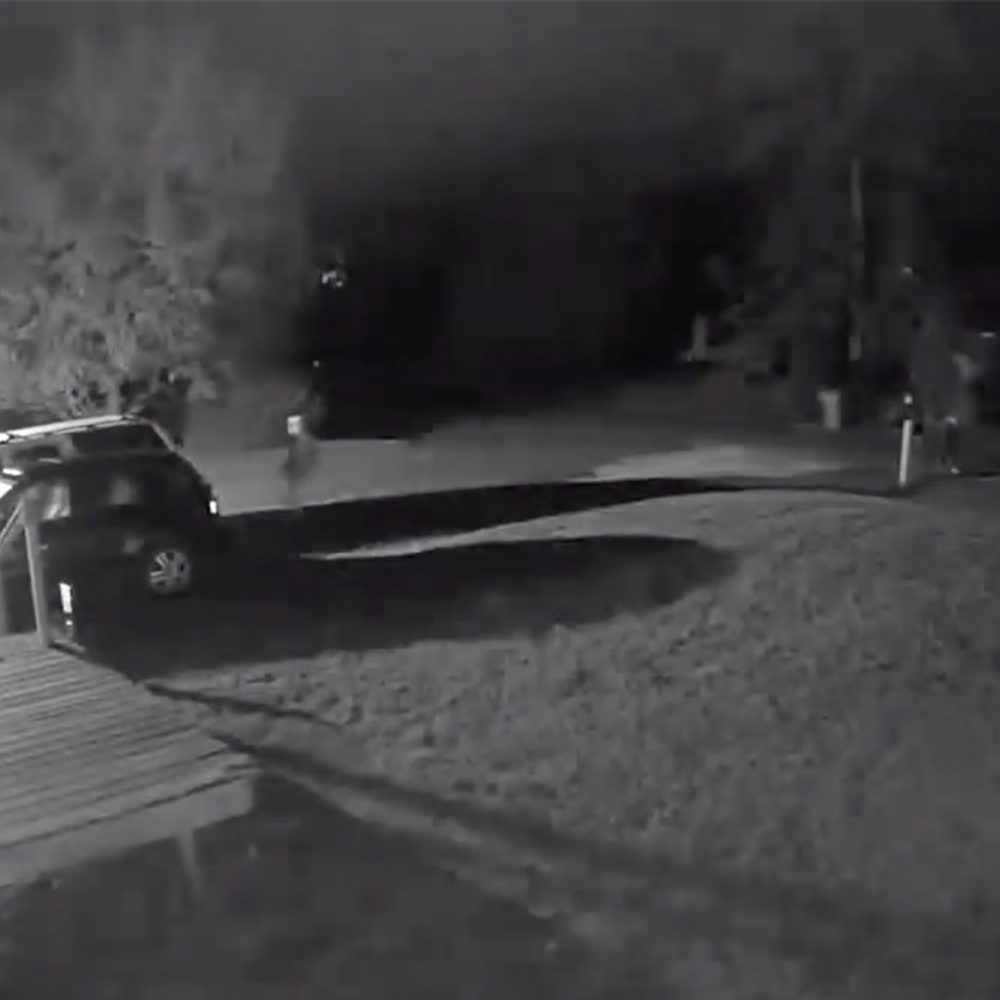 Bay County Sheriffs Office Video Alabama News