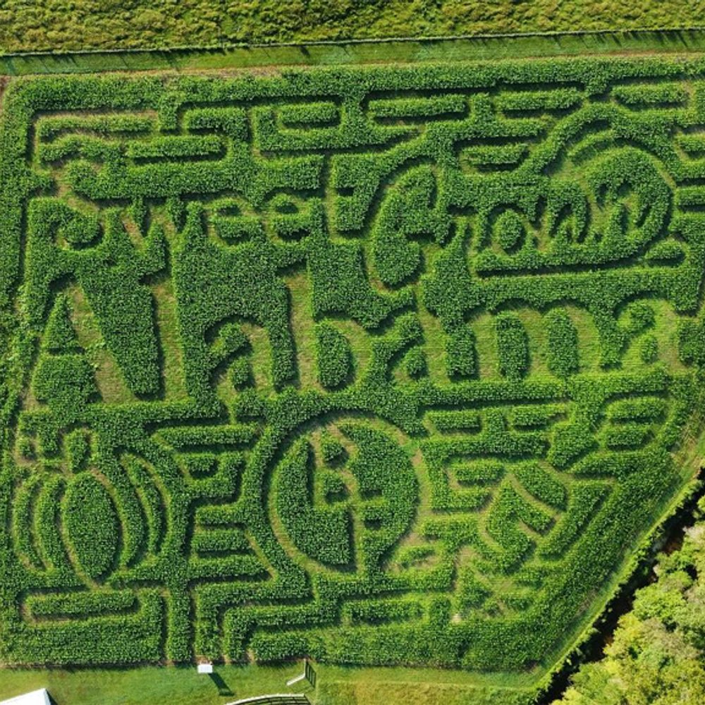 Bennett Farms Alabama News