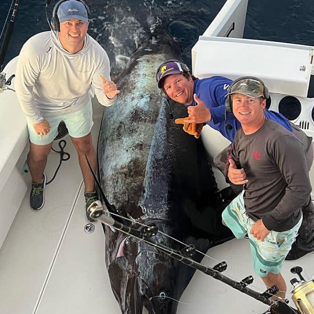 Blue Marlin Alabama News