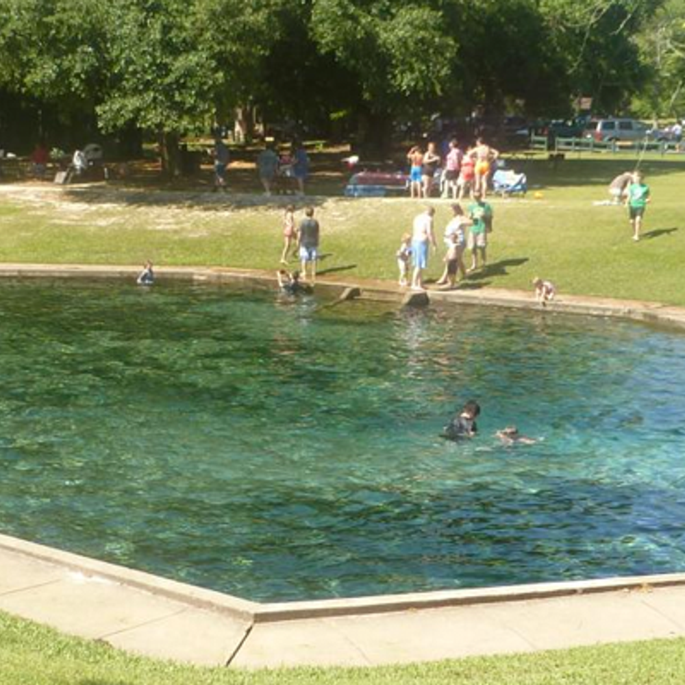 Blue Springs State Park from Alapark Alabama News