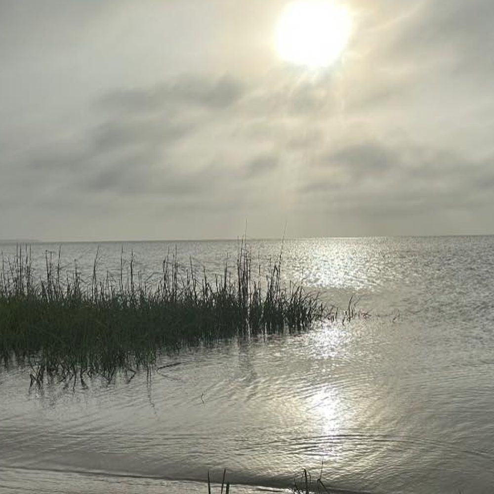 Bon Secour Bay Alabama News