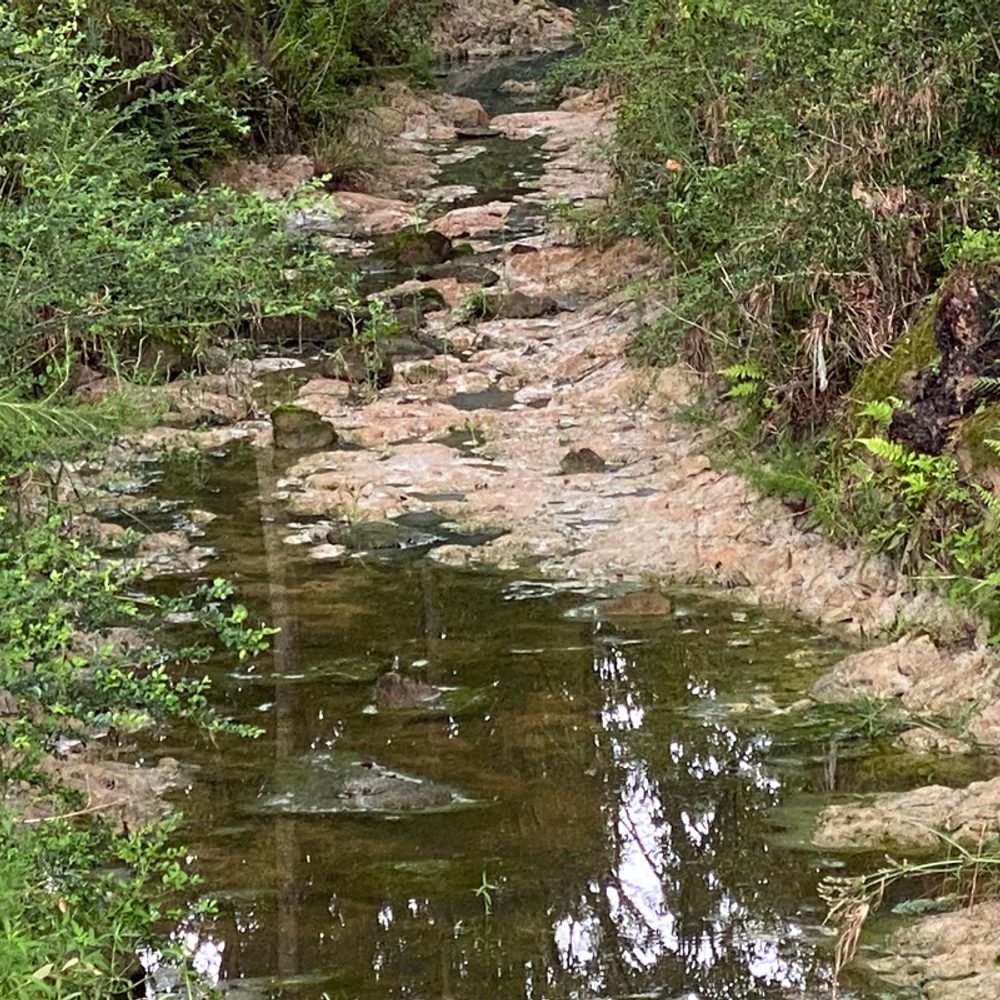 Bon Secour River photo Alabama News