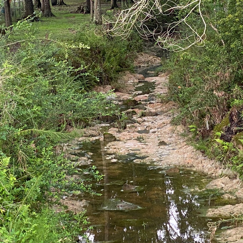 Bon Secour River Alabama News
