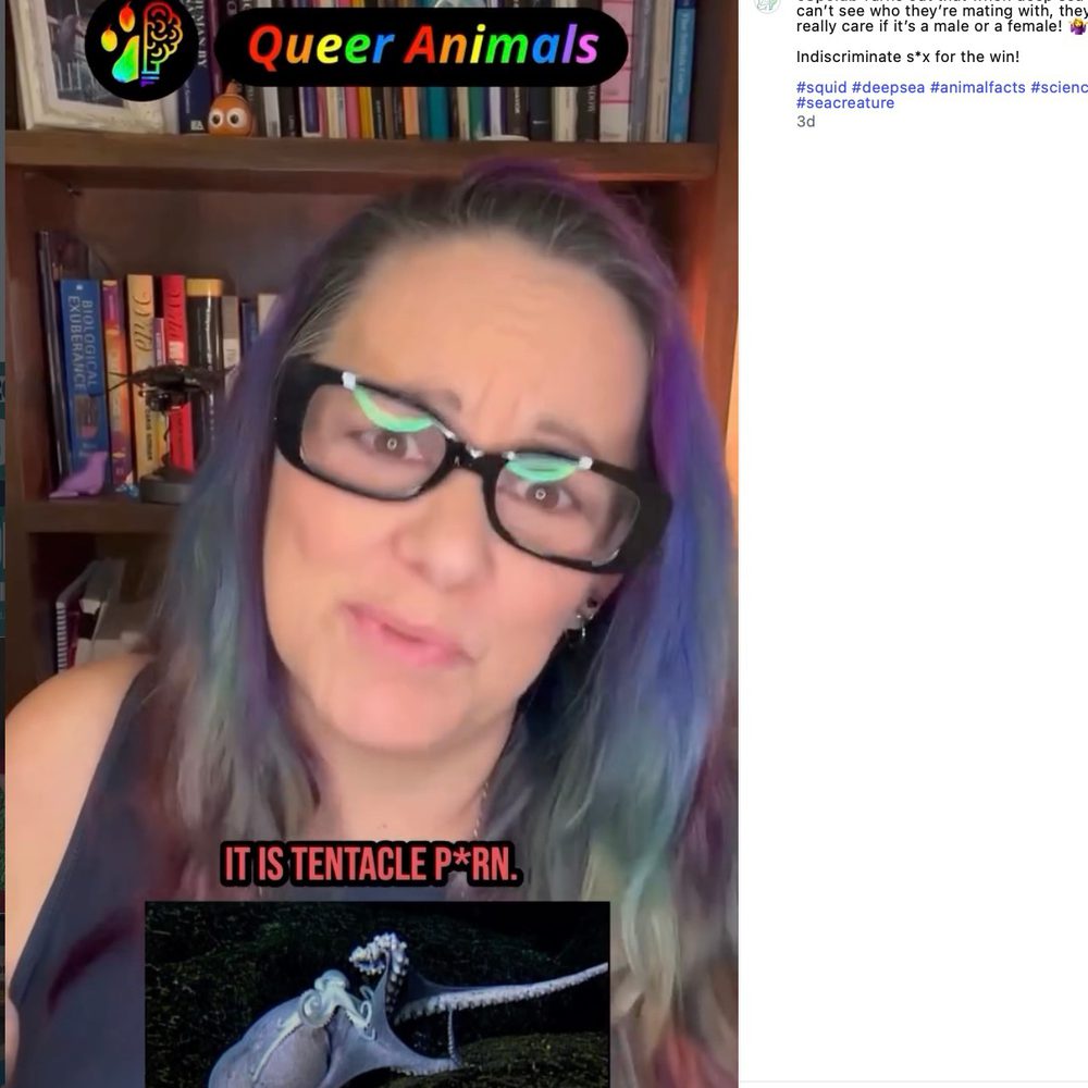 CP3 O Queer Animals Alabama News