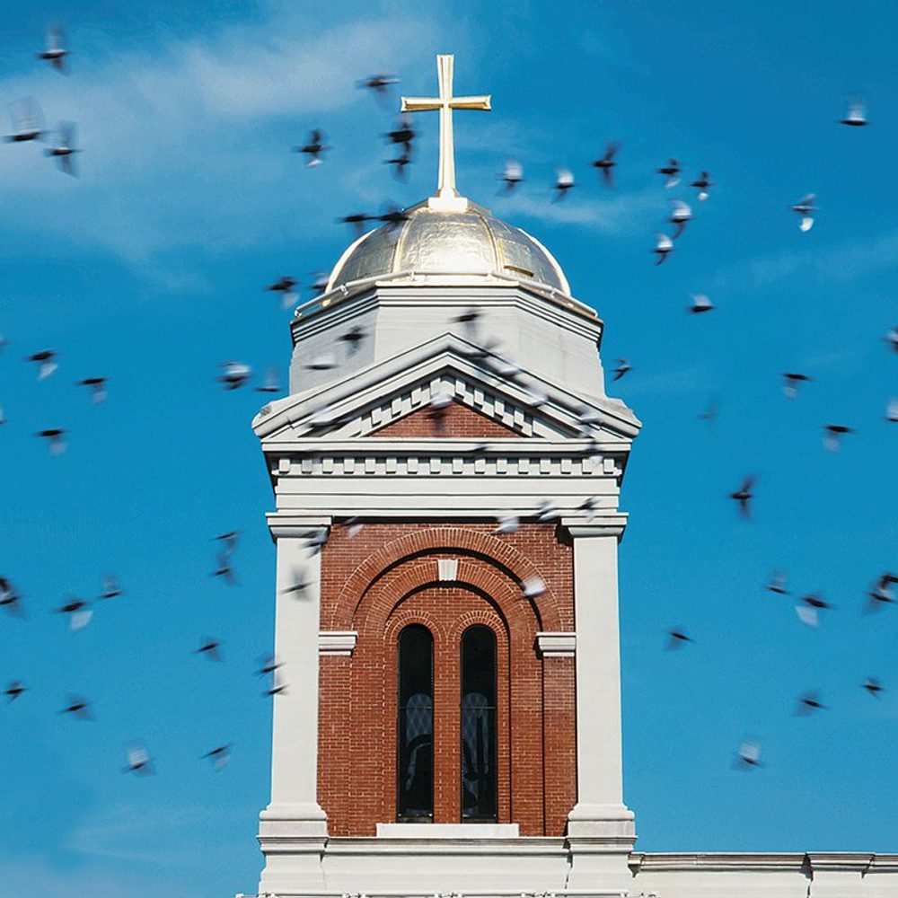 Cathedral Basilica Of The Immaculate Conception Alabama News