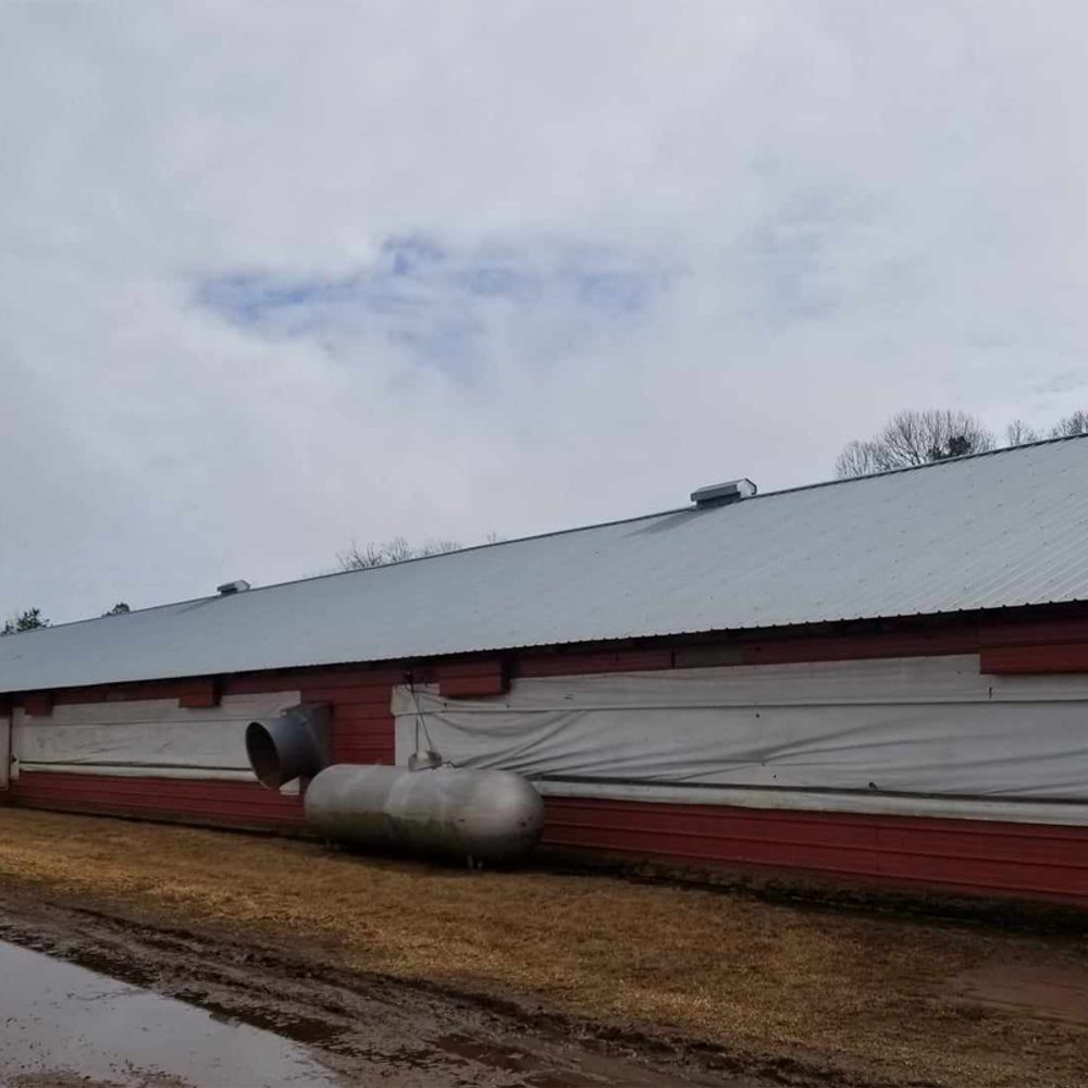 Chicken House 2 Alabama News