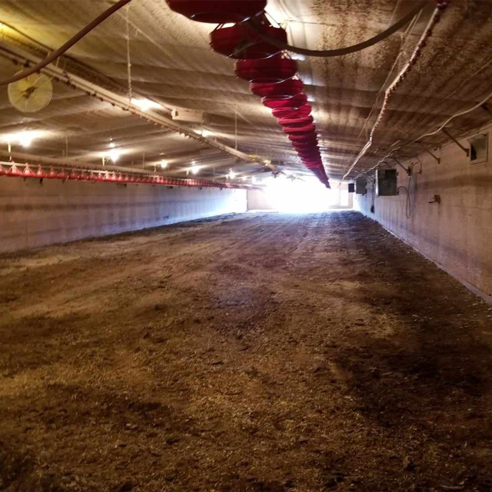 Chicken House Alabama News