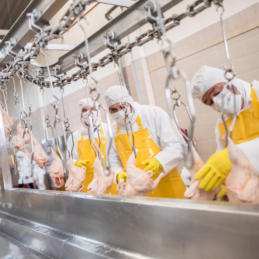 Chicken Plant Alabama News