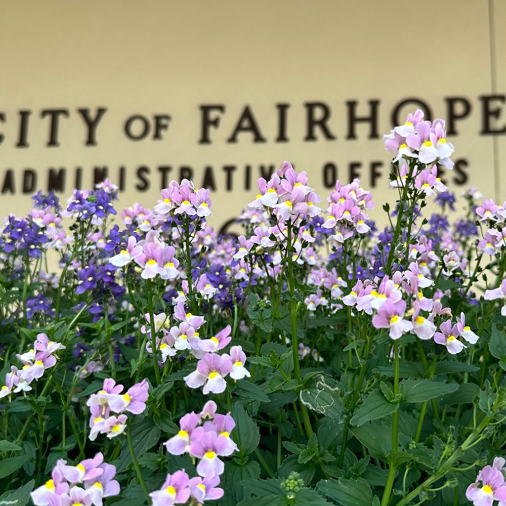 City of Fairhope Alabama News