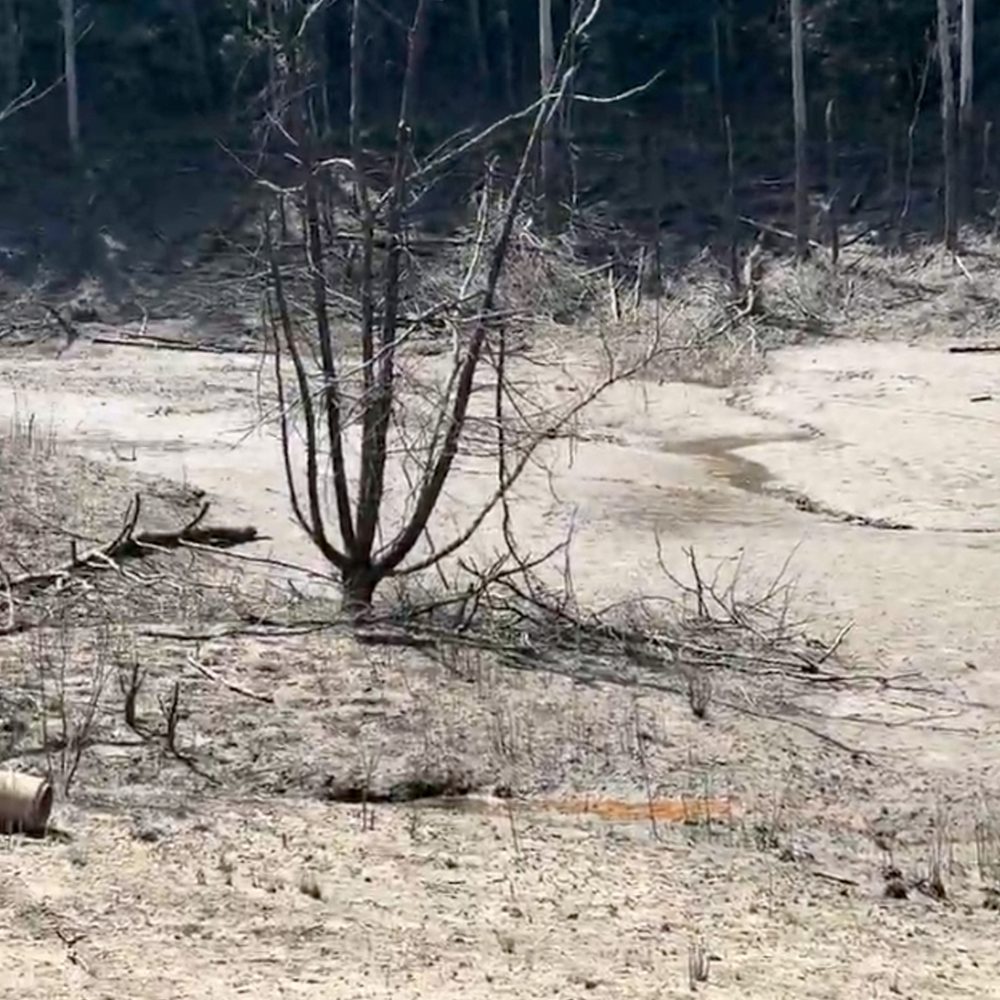 DRAINED LAKE 1 Alabama News