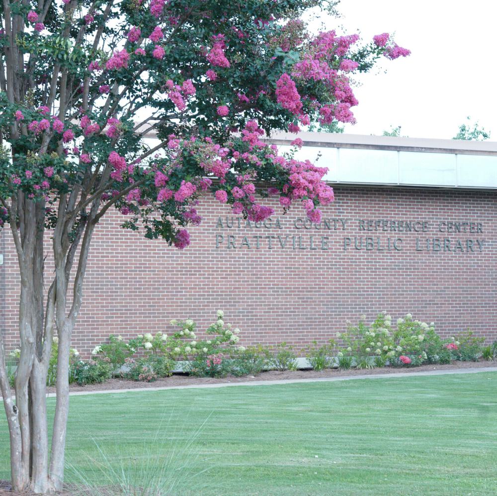 Prattville-Autauga Library. Alabama News