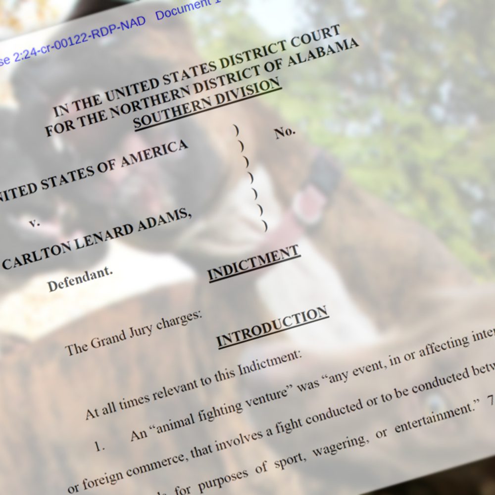 Dog fighting indictment Alabama News