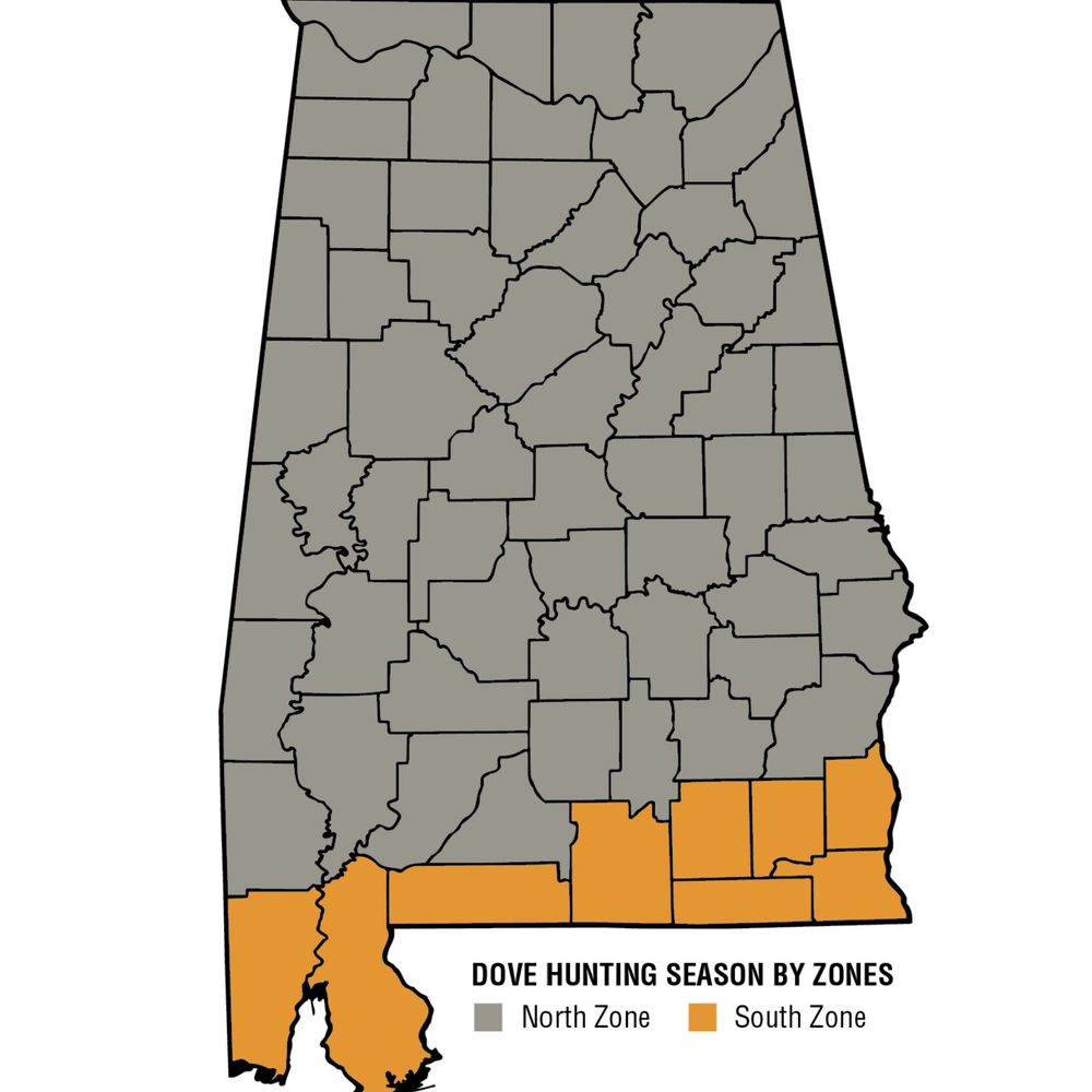 Dove Season Alabama News