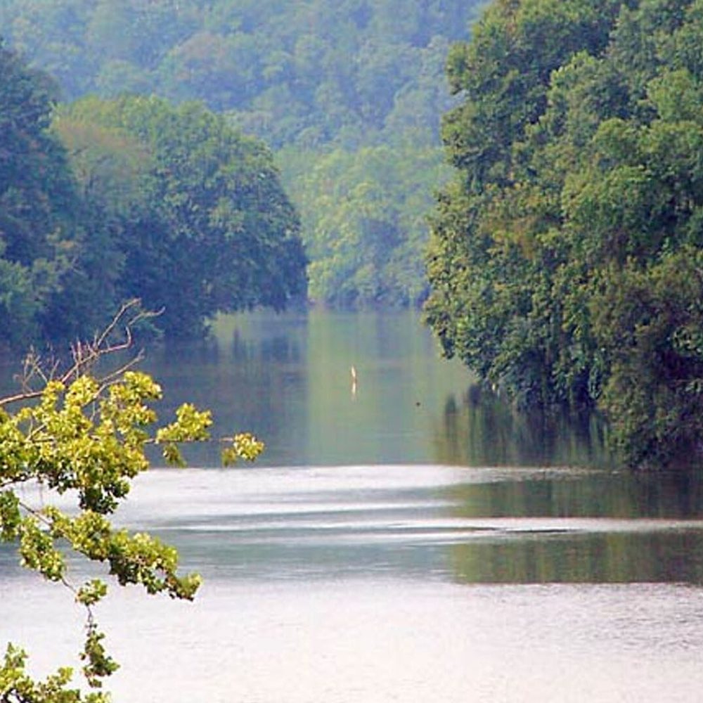Elk River Alabama News