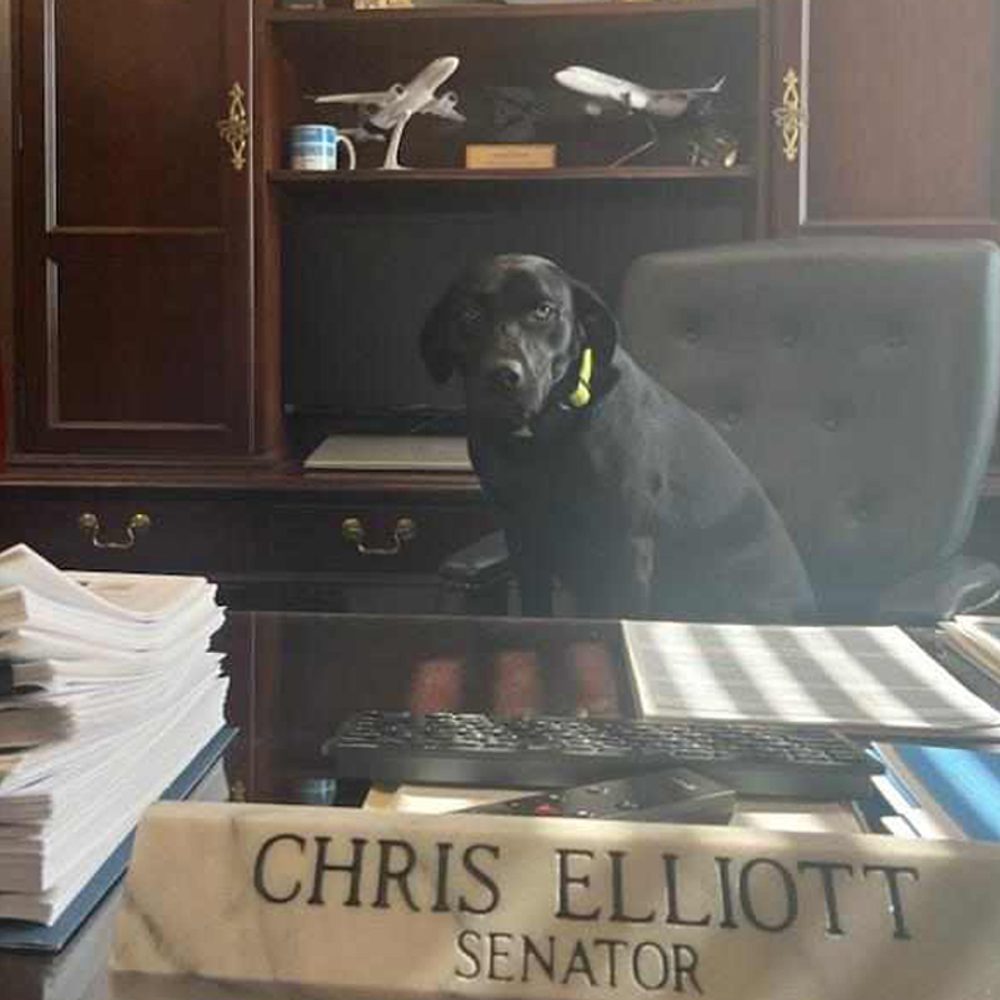 Evelyn Elliott Alabama News
