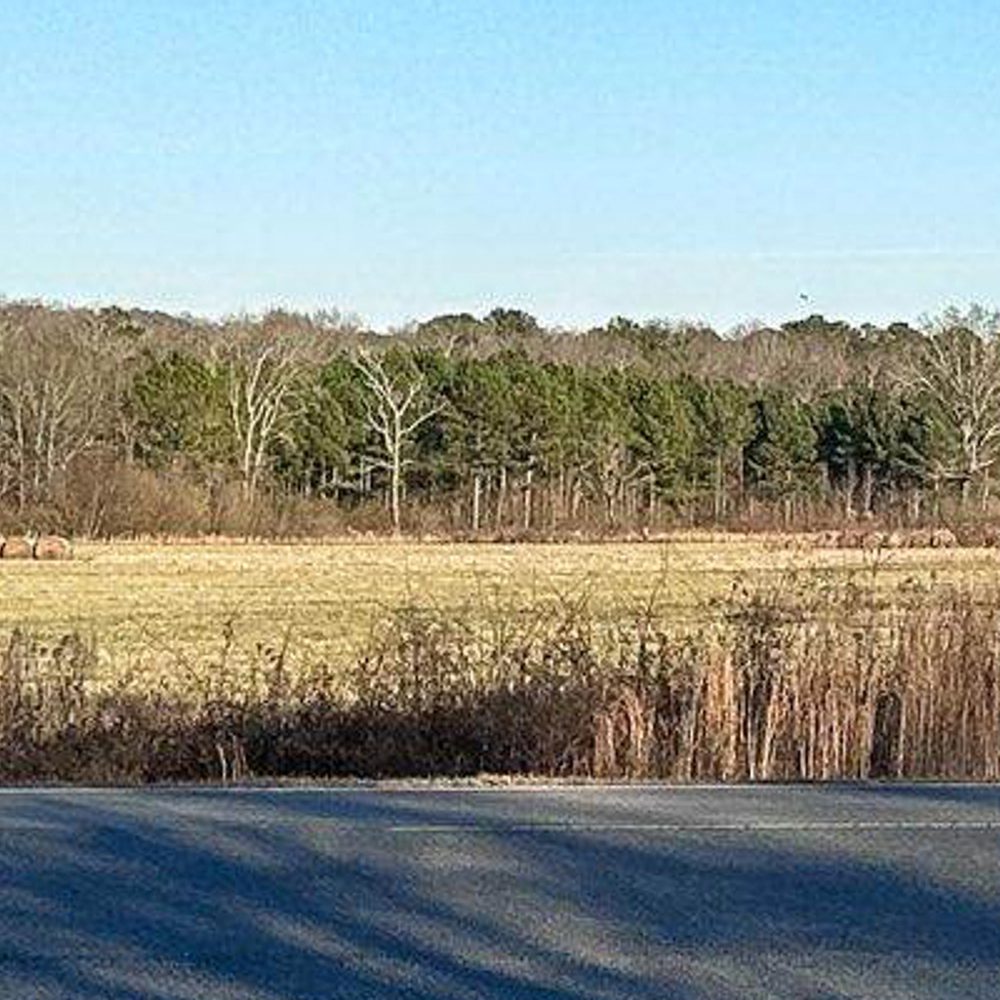 FIELD Alabama News