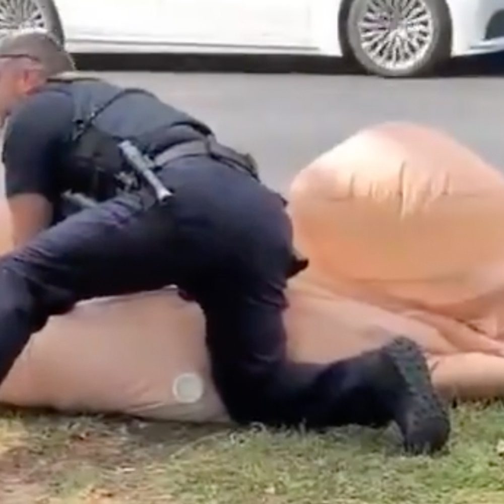 Fairhope police penis arrest Alabama News
