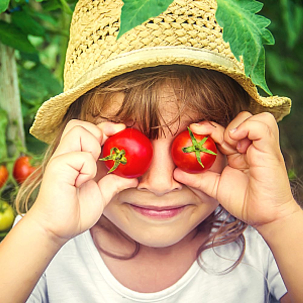 Farm to School Program Alabama News