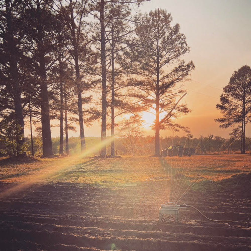 Farm Alabama News